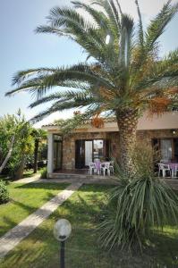 a palm tree in front of a house at ISS Travel, Villa Fiorita - 800 m from La Cinta beach in San Teodoro