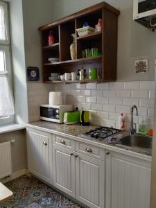 eine Küche mit einer Spüle und einer Mikrowelle auf der Theke in der Unterkunft Krakowsky Apartment in Krakau