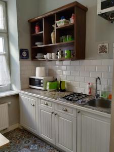 Kuchnia lub aneks kuchenny w obiekcie Krakowsky Apartment