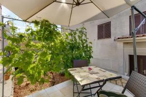 Fotografie z fotogalerie ubytování Apartments in Mali Losinj 15006 v destinaci Mali Lošinj + 22 fotografií