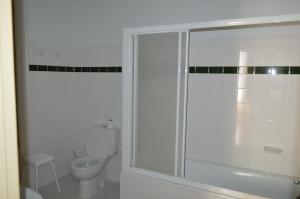 ヴィラ・ノーヴァ・デ・フォス・コアにあるCasa Vermelhaのバスルーム(シャワー、トイレ付)