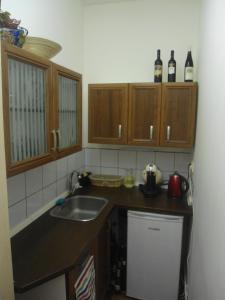 Kuchyňa alebo kuchynka v ubytovaní Luxusni Apartmany Stodolni