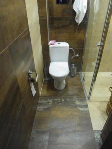 Kúpeľňa v ubytovaní Luxusni Apartmany Stodolni