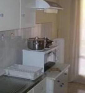 Kuchyň nebo kuchyňský kout v ubytování Hotel Apolafsi