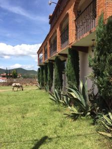 um cavalo a pastar na relva ao lado de um edifício em Hotel Lienzo Charro 1 em Huasca de Ocampo
