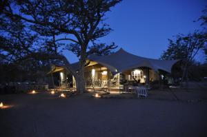 una tienda frente a un árbol por la noche en Malansrus, en Twyfelfontein