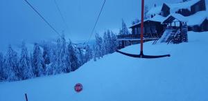 Brădeşti的住宿－Hilltop Guesthouse，雪中滑雪升降机,位于小屋旁边