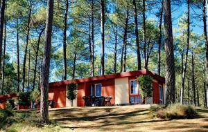 a small house in the middle of a forest at Les fougères A81 Les villages sous les pins LEON 40550 in Léon