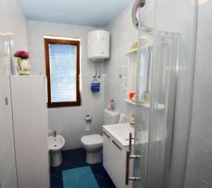 ein Badezimmer mit Toilette, Waschbecken und Dusche in der Unterkunft Apartment Adriana in Rovinj