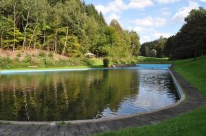 a pond in the middle of a park with trees at Westerwald Apartments in Straßenhaus