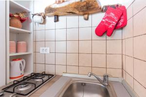 kuchnia ze zlewem i kuchenką w obiekcie The Terrace w mieście Mošćenice +22 zdjęcia