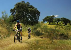 dos personas montando bicicletas en un campo de hierba en Molino Rio Alajar, en Alájar