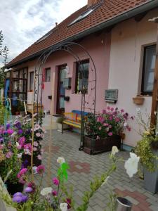a house with a flower garden in front of it at Am Park 2 in Wendtorf