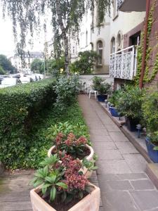 a sidewalk with potted plants on the side of a building at Hotelgarni Frankfurt in Frankfurt/Main