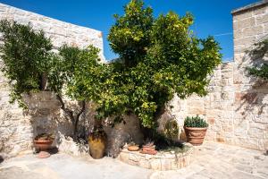 un muro di pietra con alberi e piante in vasi di Masseria Oreglia a Ceglie Messapica