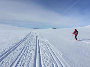 Rondane Høyfjellshotell v zimě