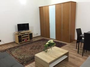 TV a/nebo společenská místnost v ubytování Hotel Stadtpark