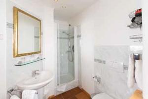 a bathroom with a shower and a sink and a toilet at Davidshof, Bed & Breakfast in Schneverdingen