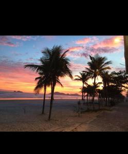 um grupo de palmeiras numa praia ao pôr do sol em Pippo Suites Guarujá no Guarujá