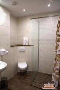 a bathroom with a toilet and a glass shower at Helios Apartamenty in Ustka