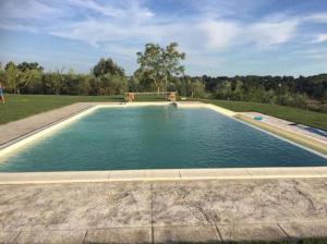 una piscina de agua con un banco en un patio en Agriturismo La Collina en Pitigliano