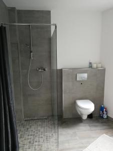 y baño con ducha y aseo. en Gästewohnung Hygge, en Oldenburg