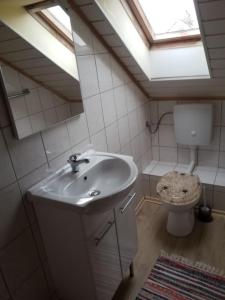 a bathroom with a sink and a toilet with a skylight at Mama Leone in Weihenstephan