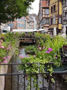 Photo de la galerie de l'établissement Les Colombages, à Colmar