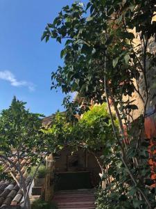 a house with trees in front of a building at Fontaine-de-Vaucluse : maison avec vues in Fontaine-de-Vaucluse +4 photos