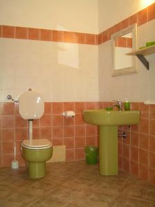 baño con aseo verde y lavamanos en Agriturismo La Palazzina, en Castelnuovo di Garfagnana