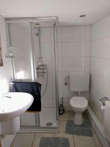 ein Bad mit einer Dusche, einem WC und einem Waschbecken in der Unterkunft Ferienwohnung Piesch in Glücksburg