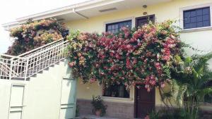 Edificio in cui si trova l'appartamento