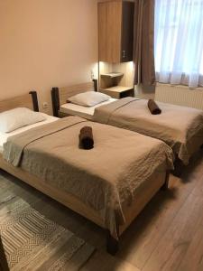 2 camas en una habitación con en Halász Airport Panzio, en Vecsés