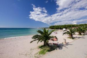 a sandy beach with palm trees and the ocean at Apartments Tinka in Povljana