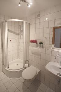a bathroom with a shower and a toilet and a sink at Ferienwohnung Mimi Souterrainwohnung in Kastellaun