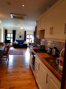 a kitchen with a sink and a living room at Nanny Quinn's Apartment in Killucan