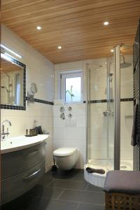 La salle de bains est pourvue d'une douche, de toilettes et d'un lavabo. dans l'établissement Ferienwohnung am Rain, à Winden im Elztal