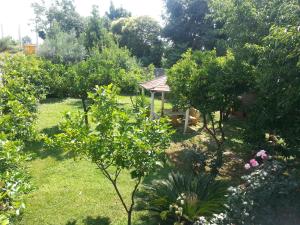 a garden with a gazebo and some bushes and trees at Hotel Capys in Capua