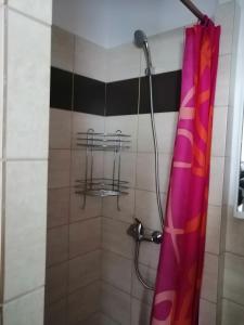 a shower with a pink shower curtain in a bathroom at U Ladi in Bulhary