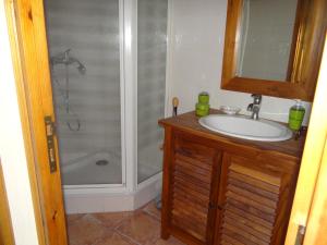 a bathroom with a sink and a shower at Oustals De Lavail in Ascou