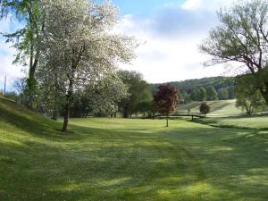 صورة لـ Byrncliff Golf Resort في Varysburg