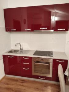 Kuchyňa alebo kuchynka v ubytovaní Family apartments Grguric