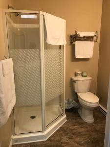 a bathroom with a shower and a toilet at Riverview Suites in Clarenville