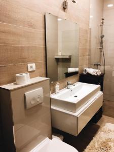 Koupelna v ubytování Visiani apartment
