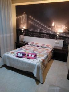 1 dormitorio con 1 cama con 2 almohadas en Hotel Nuevo Ara, en Cáceres