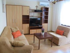 a living room with a couch and a tv at Apartment in Marsici/Insel Krk 13109 in Sveti Vid-Miholjice