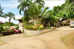 a house with a palm tree in a parking lot at Mabale’s Homestead in Cagayan de Oro