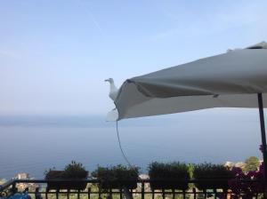 een vogel die bovenop een witte paraplu zit bij B&B Case Rosse in Camogli