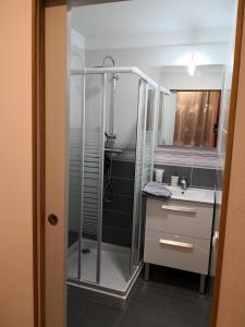 y baño con ducha y lavamanos. en La Ruche Cantalienne en Saint-Étienne-de-Chomeil