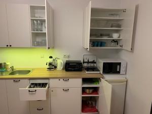 Kuchyň nebo kuchyňský kout v ubytování Apartament Jula 1 + 15 fotografií